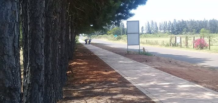 TRABAJOS PARA LA NUEVA ILUMINACIÓN
