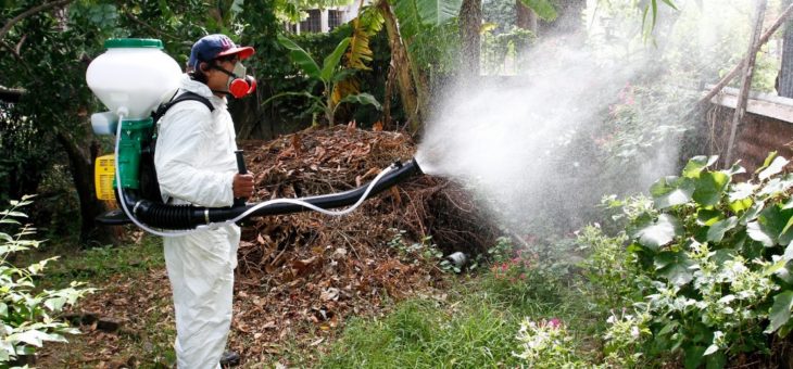 SEGUNDA FUMIGACIÓN DE LA TEMPORADA CONTRA EL DENGUE