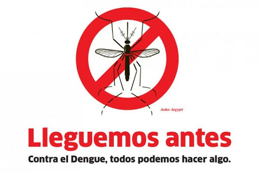 TODOS CONTRA EL DENGUE