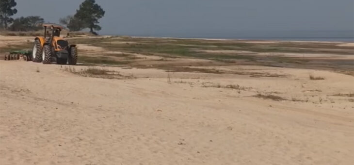 PALPITANDO EL VERANO