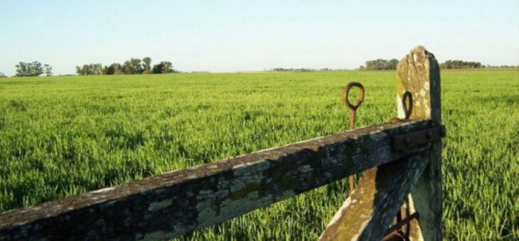 IMPUESTO RURAL