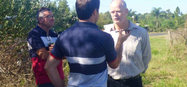 PRIMERA ERRADICACIÓN DE PLANTAS CÍTRICAS PARA PREVENIR EL AVANCE DEL HLB