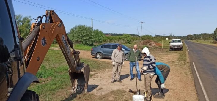 CONTINUAMOS CON EL PLAN MUNICIPAL DE FORESTACIÓN