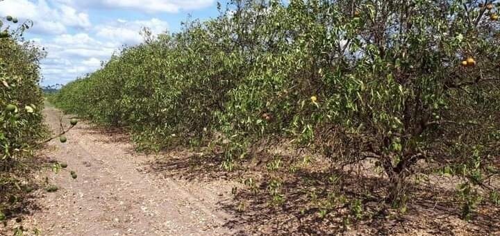 EMERGENCIA AGROPECUARIA