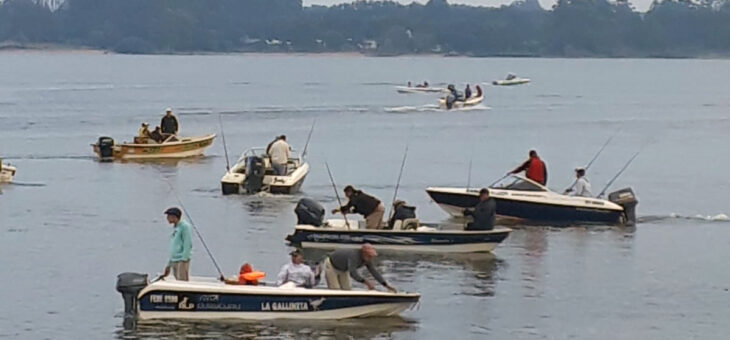 TORNEO DE PESCA