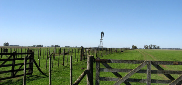 PRÓRROGA DEL IMPUESTO RURAL
