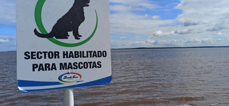 A LA PLAYA CON TU MASCOTA