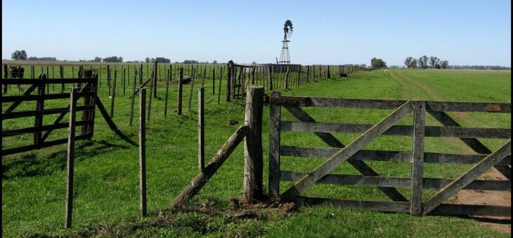 IMPUESTO RURAL