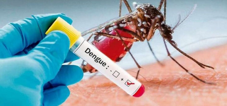DENGUE: PRESTÁ ATENCIÓN A LOS SÍNTOMAS