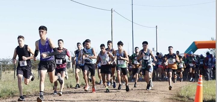 CROSS AVENTURA X4