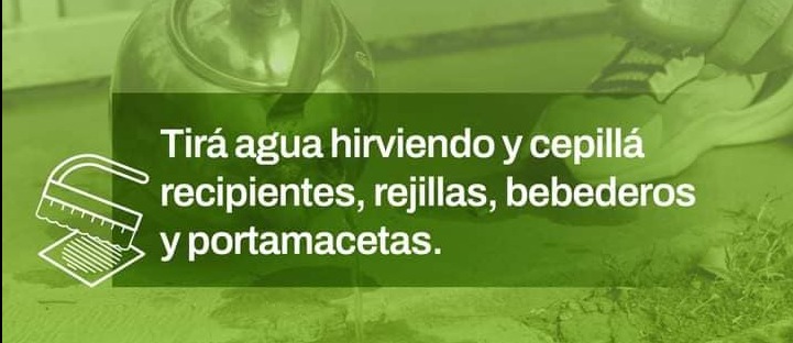 MISIÓN DENGUE, CADA ACCIÓN CUENTA