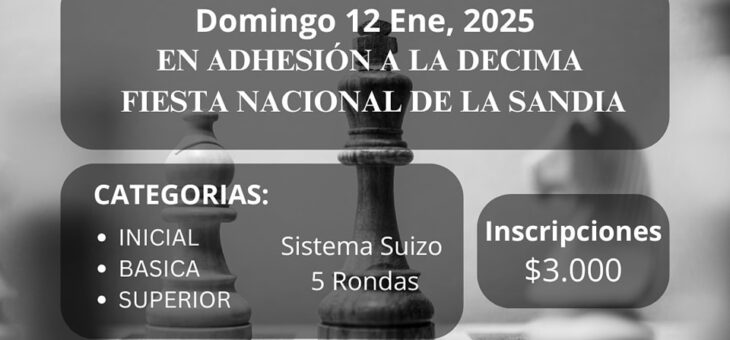 TORNEO DE AJEDREZ
