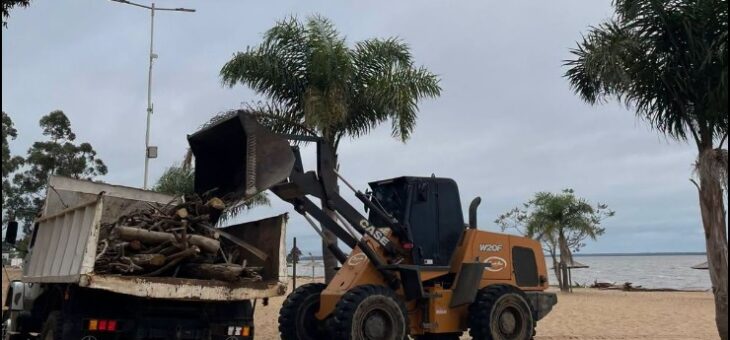MIRÁ CÓMO ESTÁN NUESTRAS PLAYAS