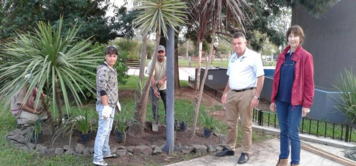 REFORESTACIÓN EN PLAZA SAN MARTÍN
