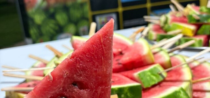 PRECIOS ENTRADAS FIESTA NACIONAL DE LA SANDÍA