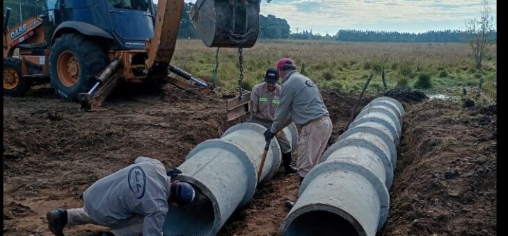 TRABAJOS EN COLONIA BELGRANO